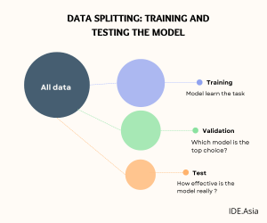 Data Splitting: Training and Testing the Model