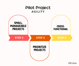 Pilot-Project-agility